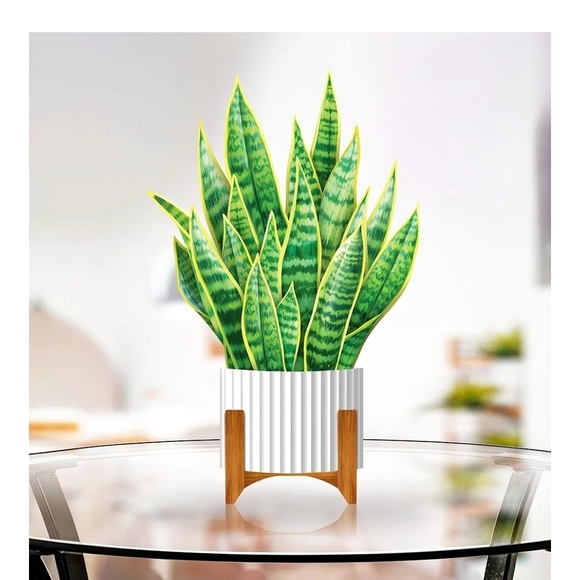 Vibrant Green Snake Plant Pop-Up Card - Picture 5 of 9